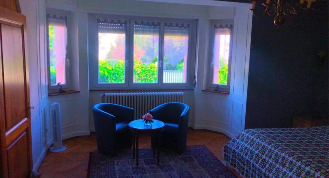 Gite "La Baloise" Colmar Buitenkant foto