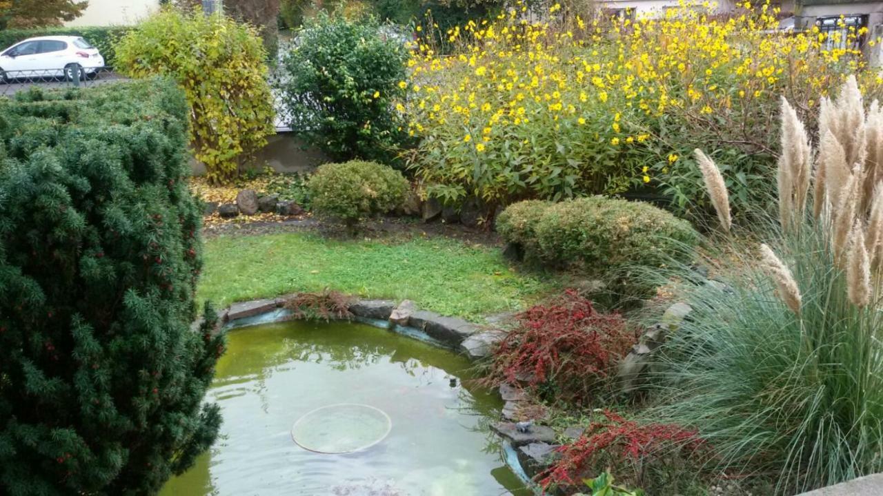 Gite "La Baloise" Colmar Buitenkant foto