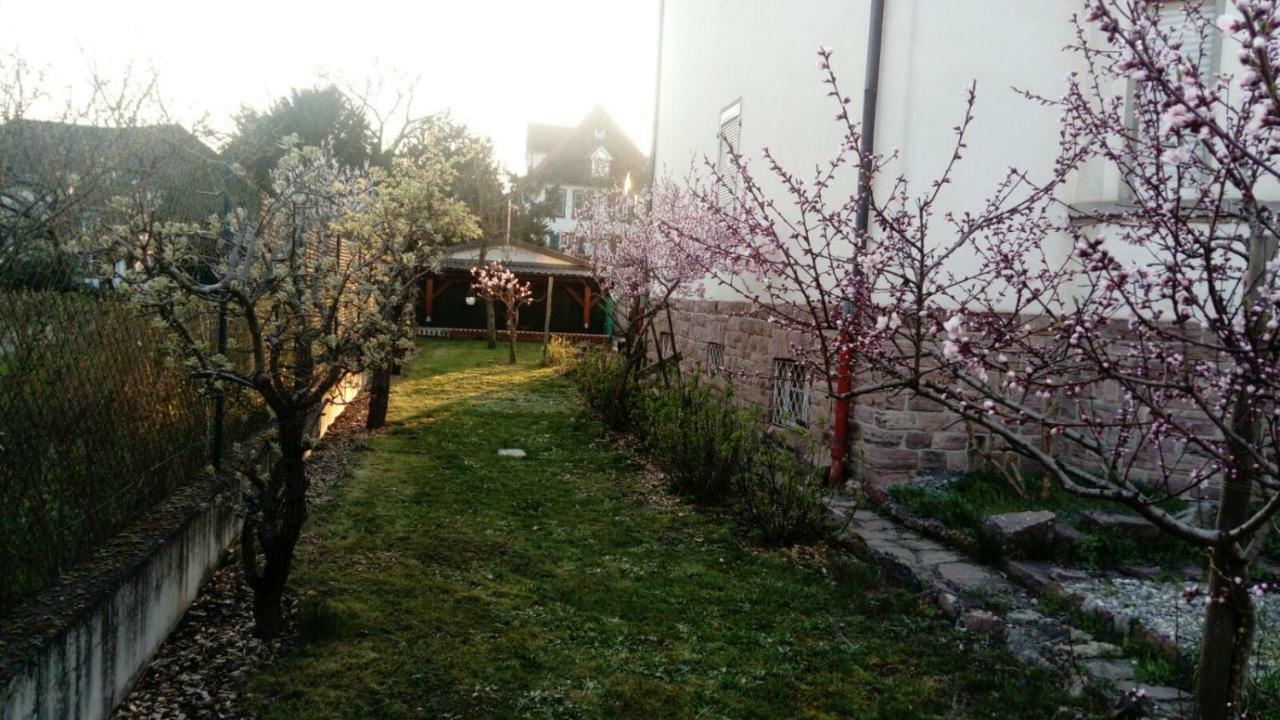 Gite "La Baloise" Colmar Buitenkant foto